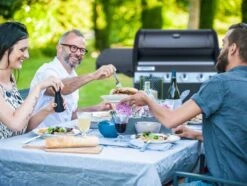 Campingaz 4 Series Classic LS Plus BBQ -Camp Gear Area 4 series ls classic 3